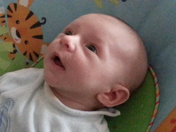 2013-01-19 14.36.57
